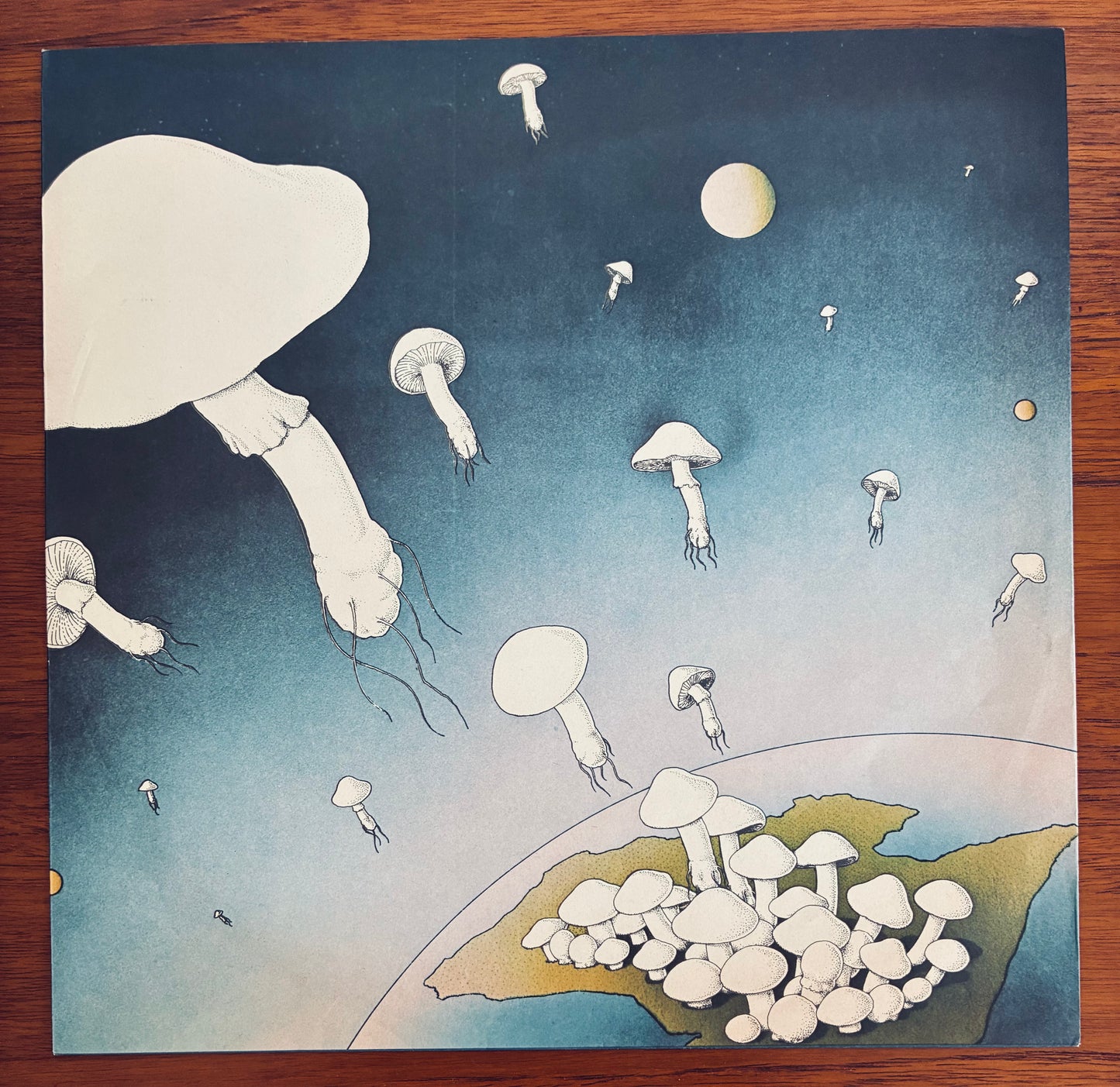 Skyhooks - Living In The 70's (1974 Australian Pressing 12" White Label Vinyl) (Used/2nd Hand)