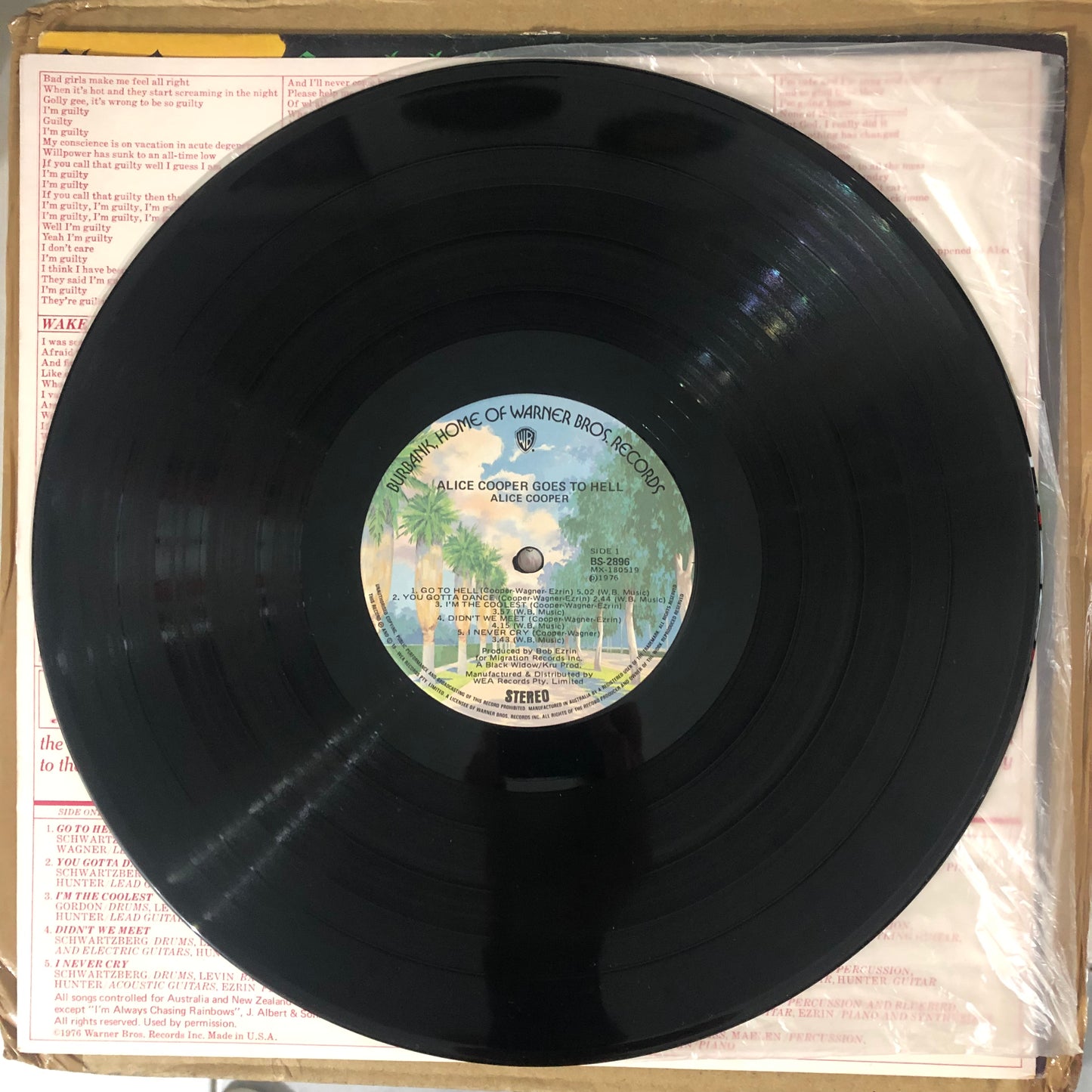 Alice Cooper - Goes To Hell (1976 U.S. Pressing 12" Vinyl) (Used/2nd Hand)