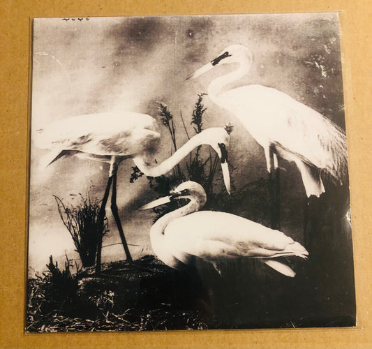 The Daed Weather - Buzzkill(er) (7' Vinyl) (45RPM Translucent Yellow)