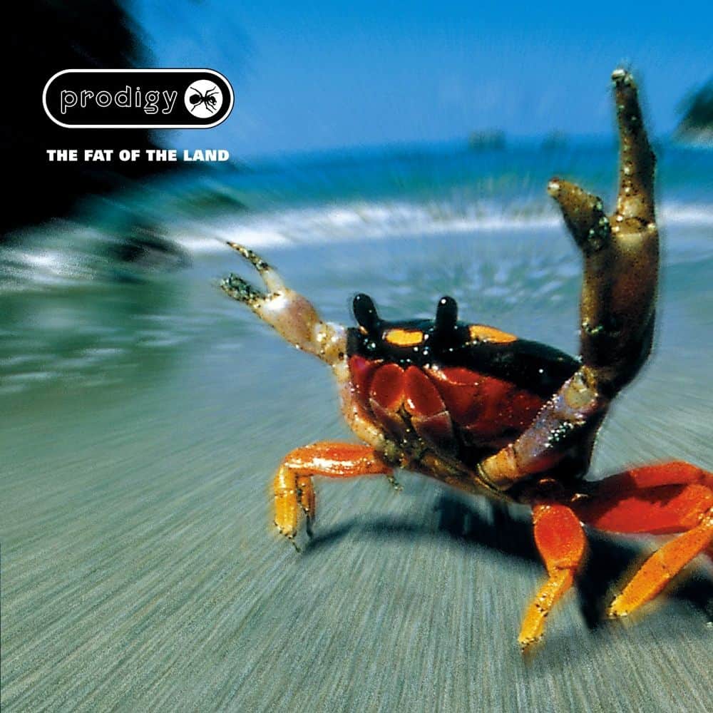 The Prodigy - The Fat Of The Land (2XLP Reissue 12" Vinyl)
